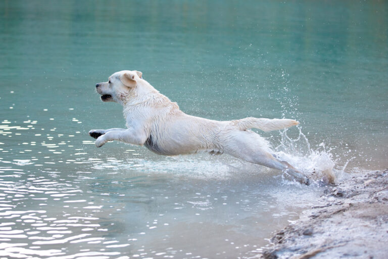 Hit of Hit Porsche (71)