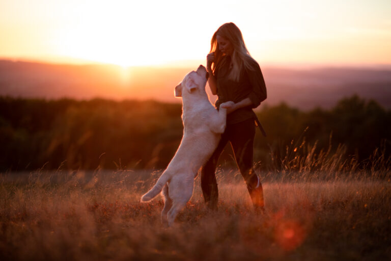 Hit of hit Porsche (84)