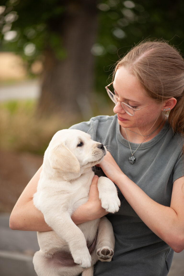 Labrador G Wurf 1 2