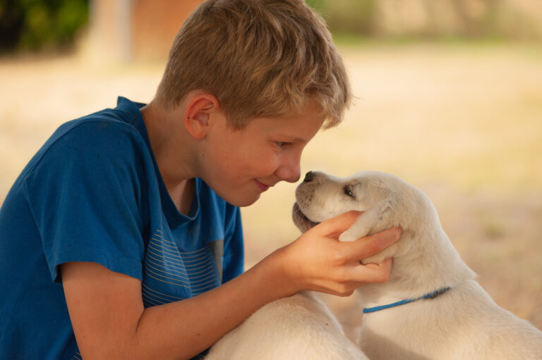 Labrador Welpen VDH Zucht G Wurf 73