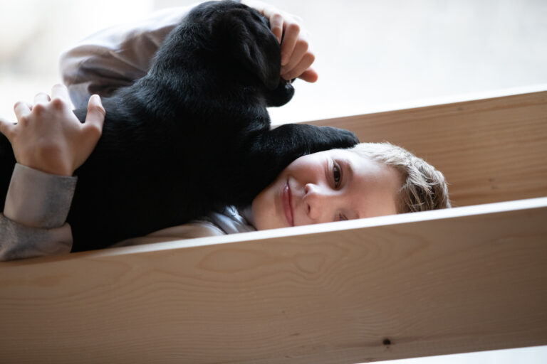 Labrador Welpen E Wurf (12)