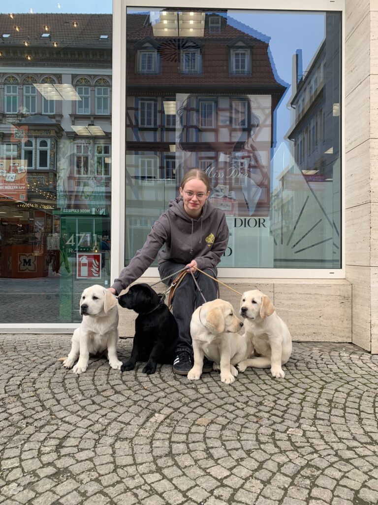 Labrador Welpen Sozialisierung (11)