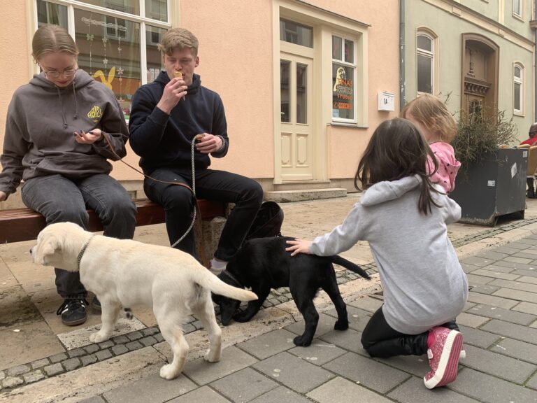 Labrador Welpen Sozialisierung (8)