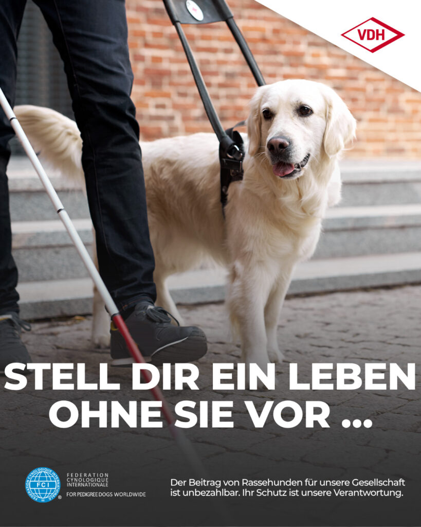 01 Blindenhund 22.05.2026