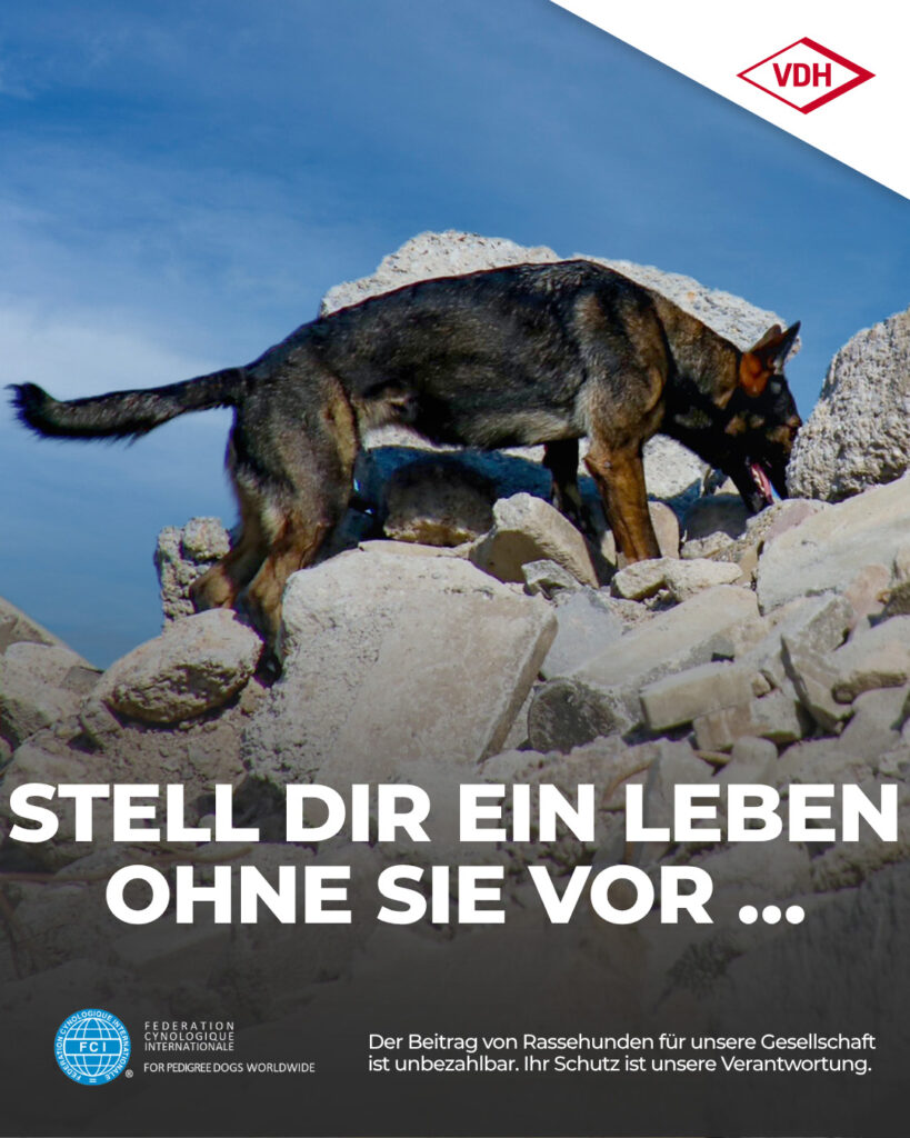 02 Rettungshund 29.05.2026