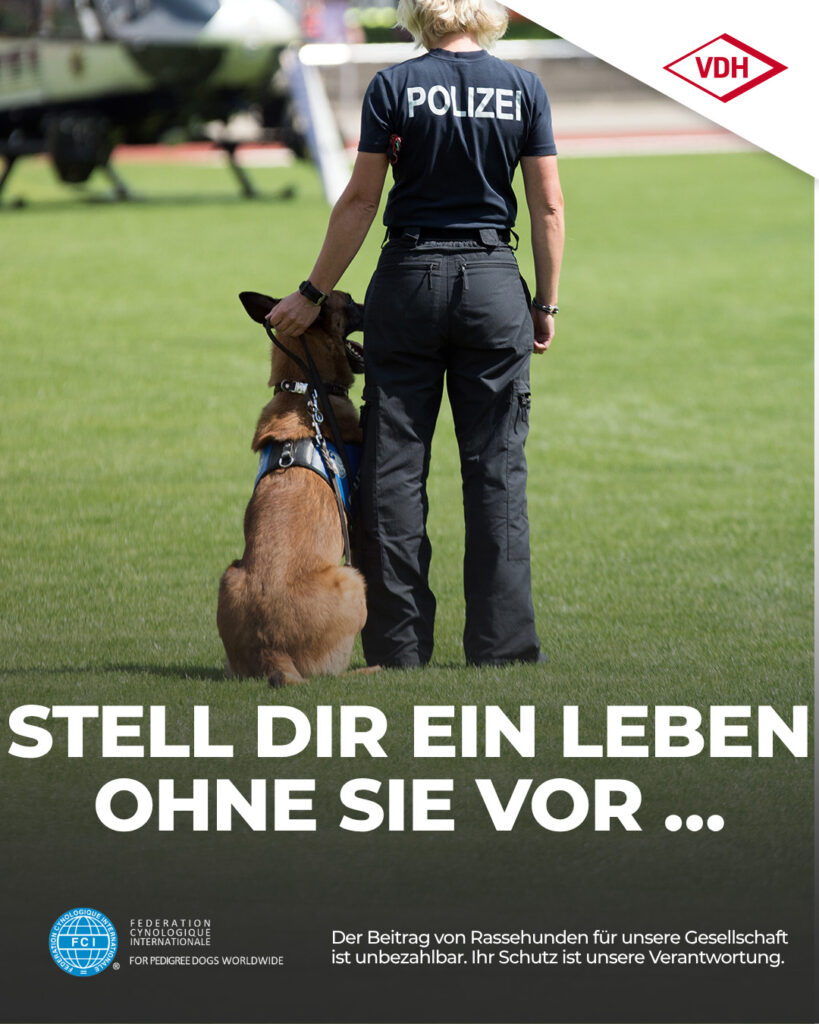 03 Polizeihund 05.06.2026