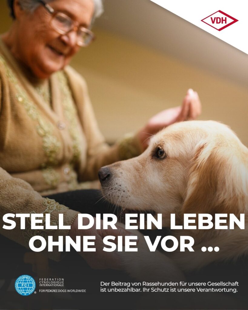 04 Seniorin 12.06.2026