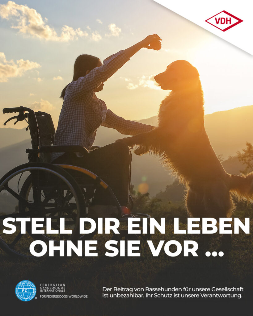 05 Assistenzhund 19.06.2026