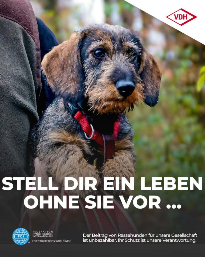 Teckel