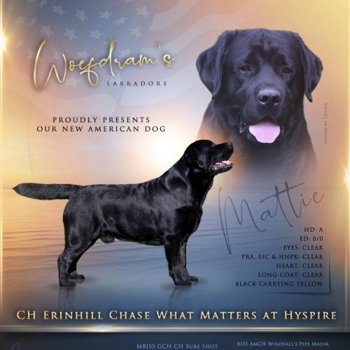 Ch_Erinhill_Chase_What_Matters_at_Hyspire_05